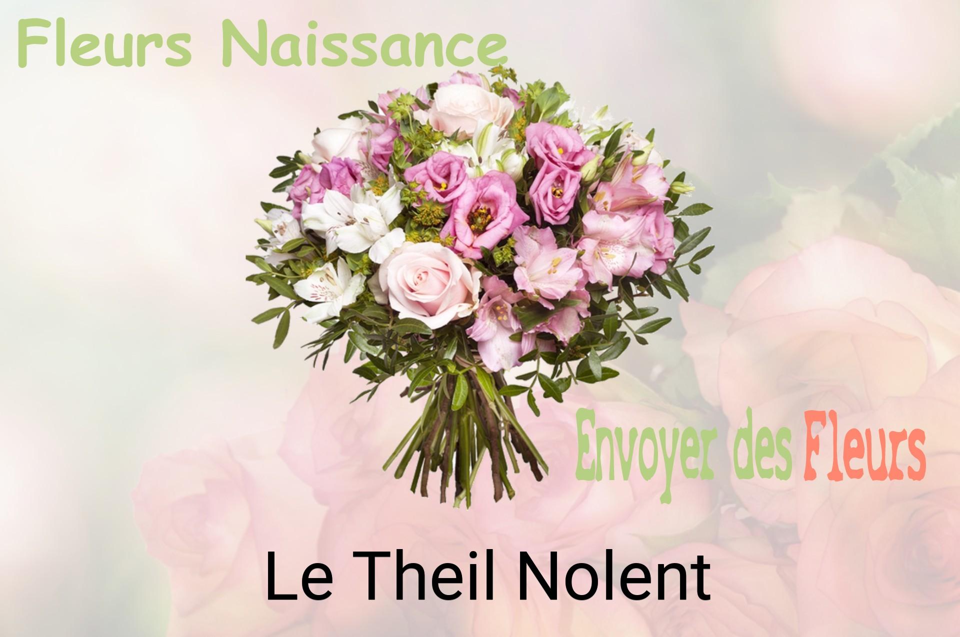 Bouquet de fleurs de naissance livré à Le Theil-Nolent
